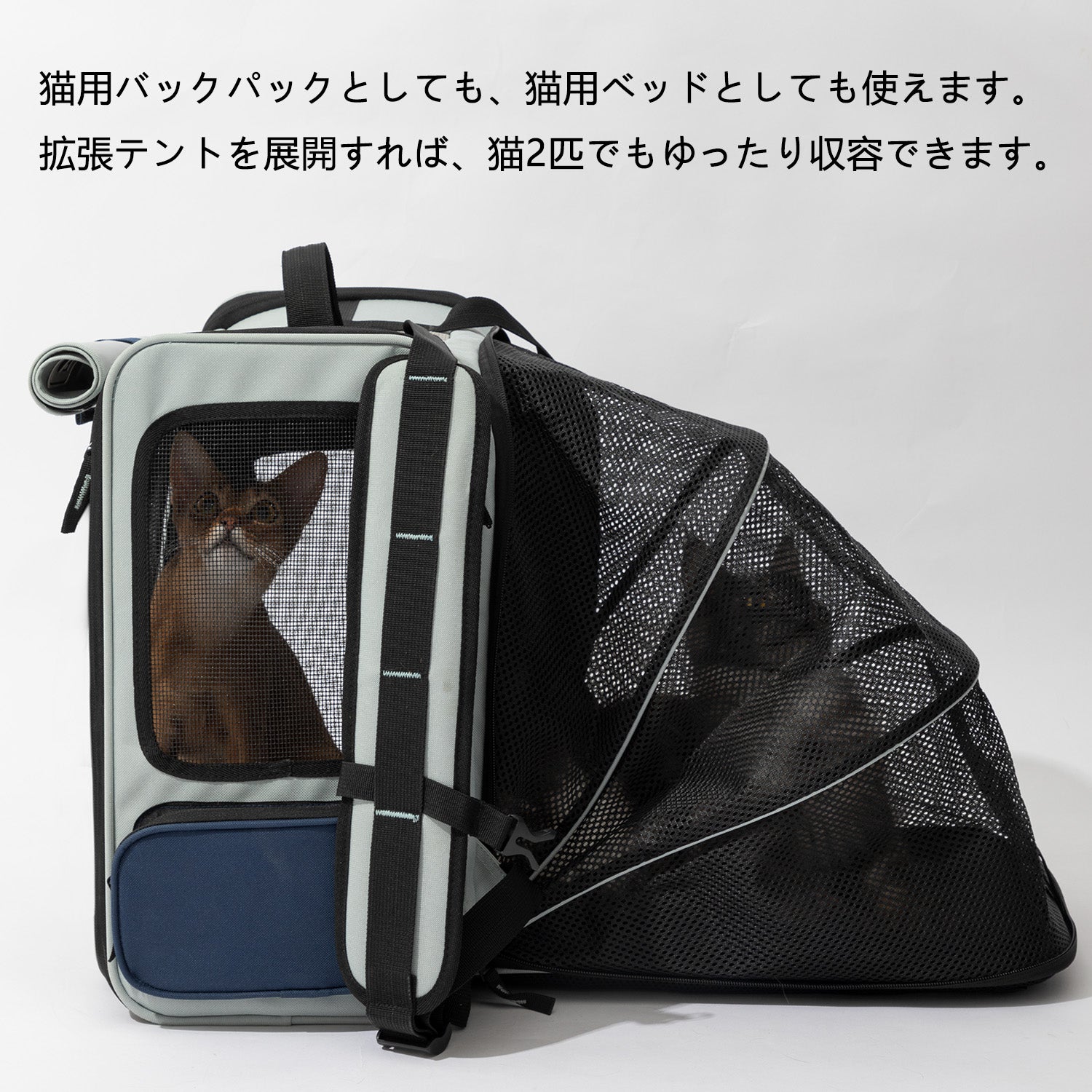 大容量ペットキャリーバックパック|拡張対応・通気設計