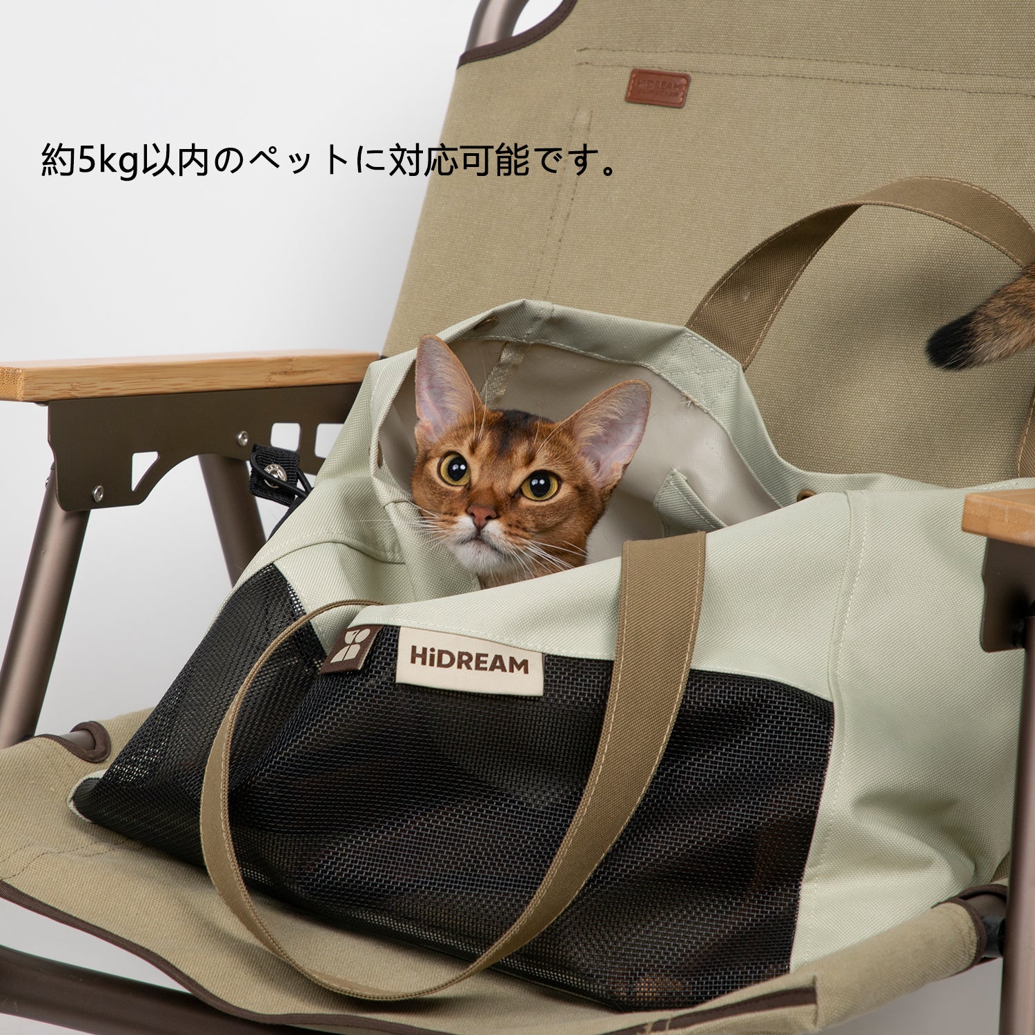軽量ペットショルダーキャンバスバッグ|通気メッシュ・折りたたみ対応・小型犬猫用