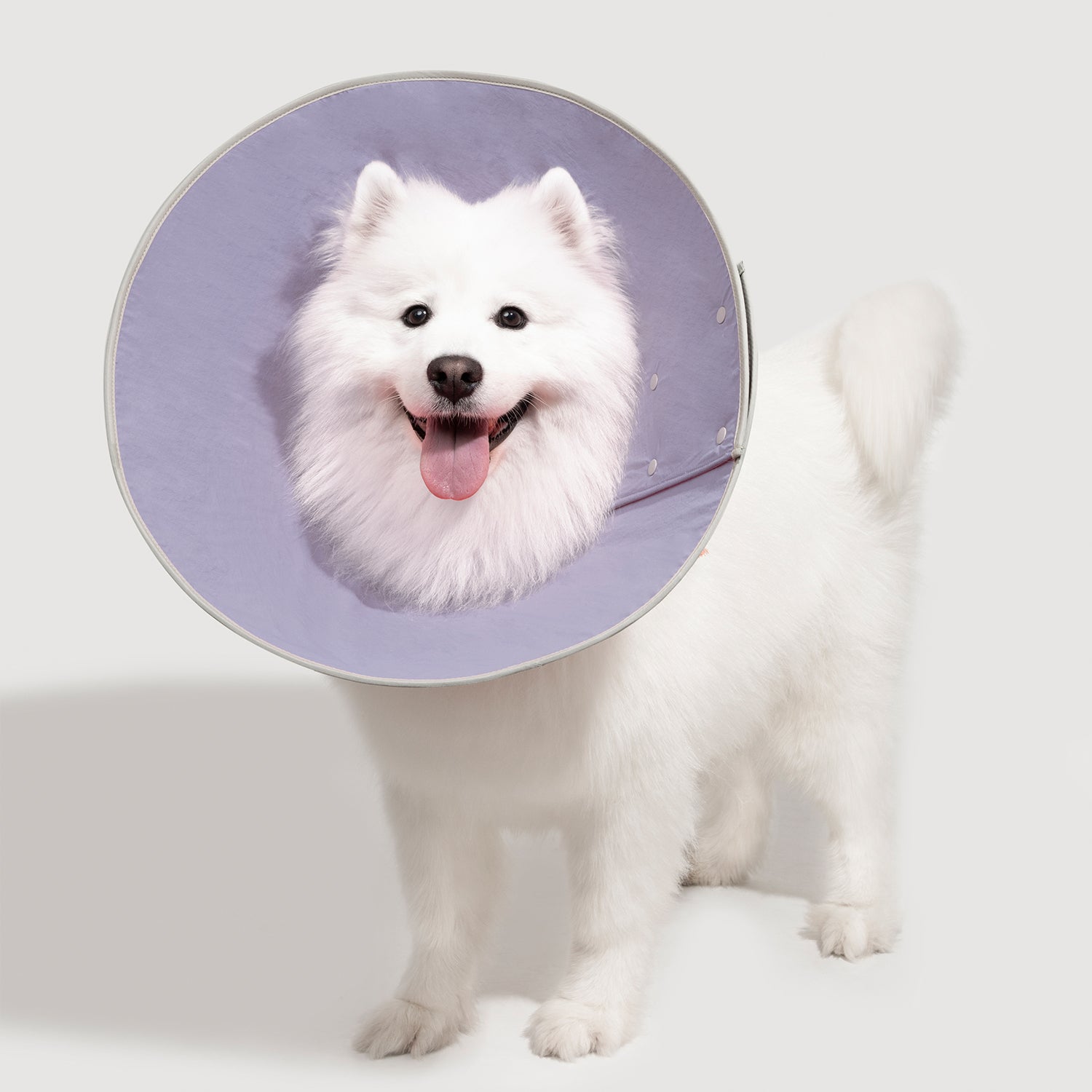ダブル調節ボタン式 ソフトコーン型エリザベスカラー 猫・犬用