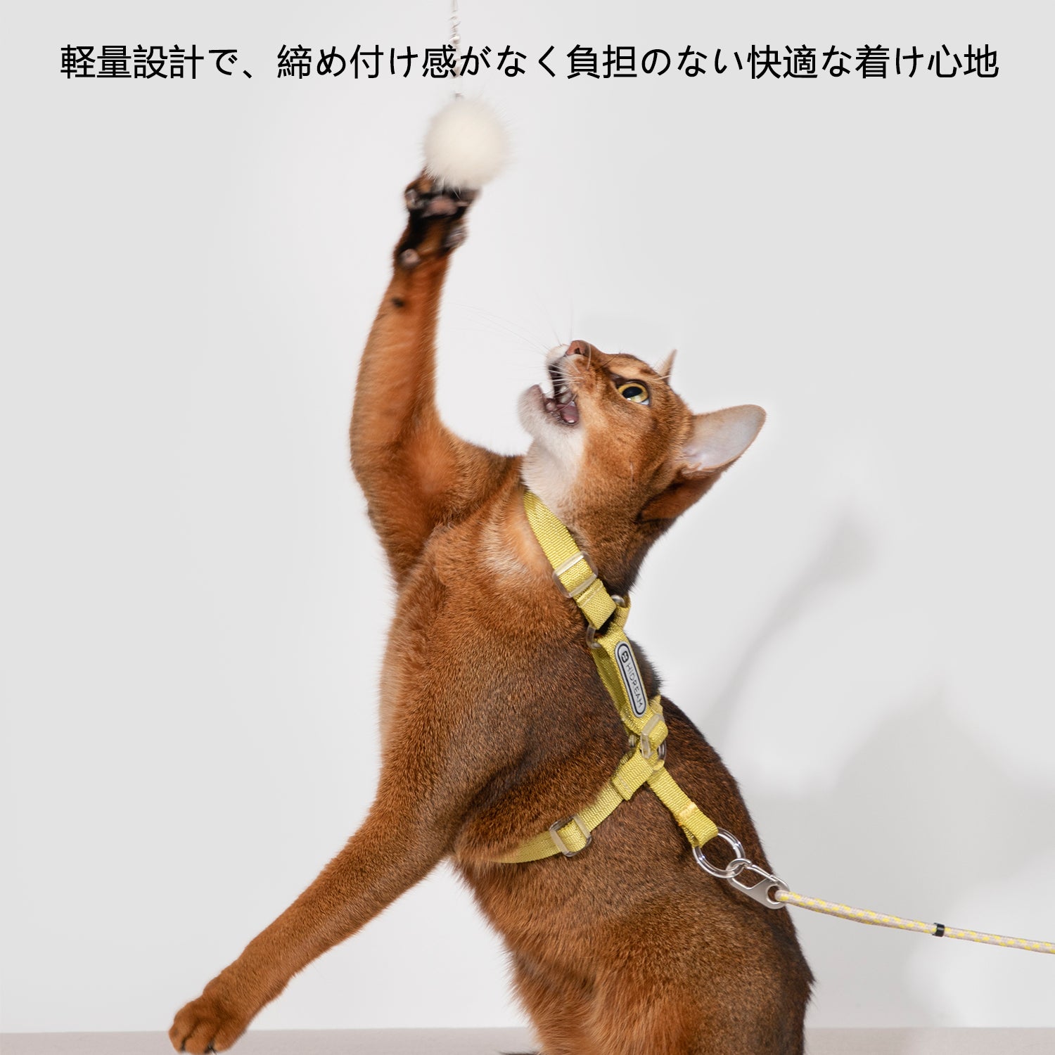 軽量調節式 猫用ハーネス&リードセット|反射ロゴ付き・通気I字構造
