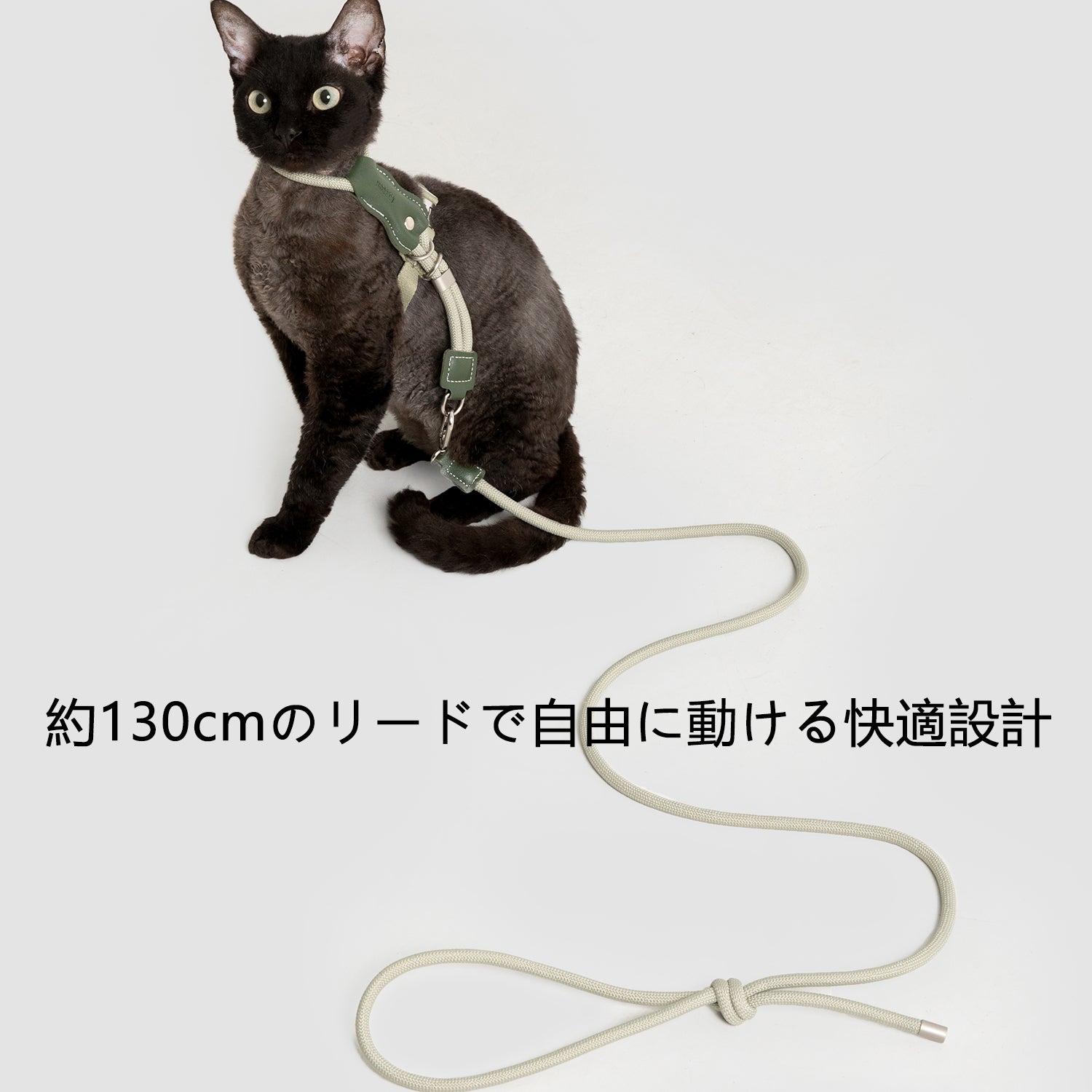 レザー丸紐 猫用ハーネス&リードセット|軽量55g・首回り調整可能