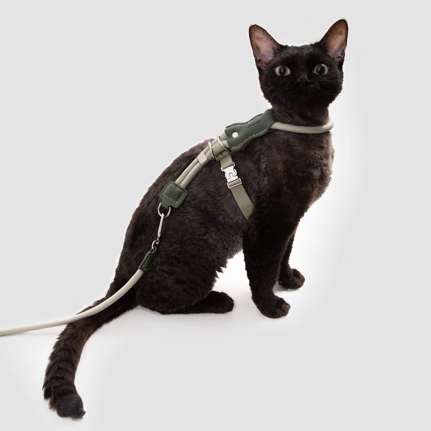 レザー丸紐 猫用ハーネス&リードセット|軽量55g・首回り調整可能