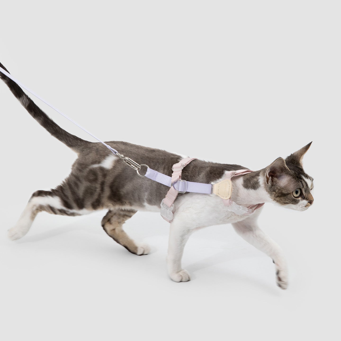 レザーコンビ H型猫用ハーネス&リードセット|超軽量36g・サイズ調整可能