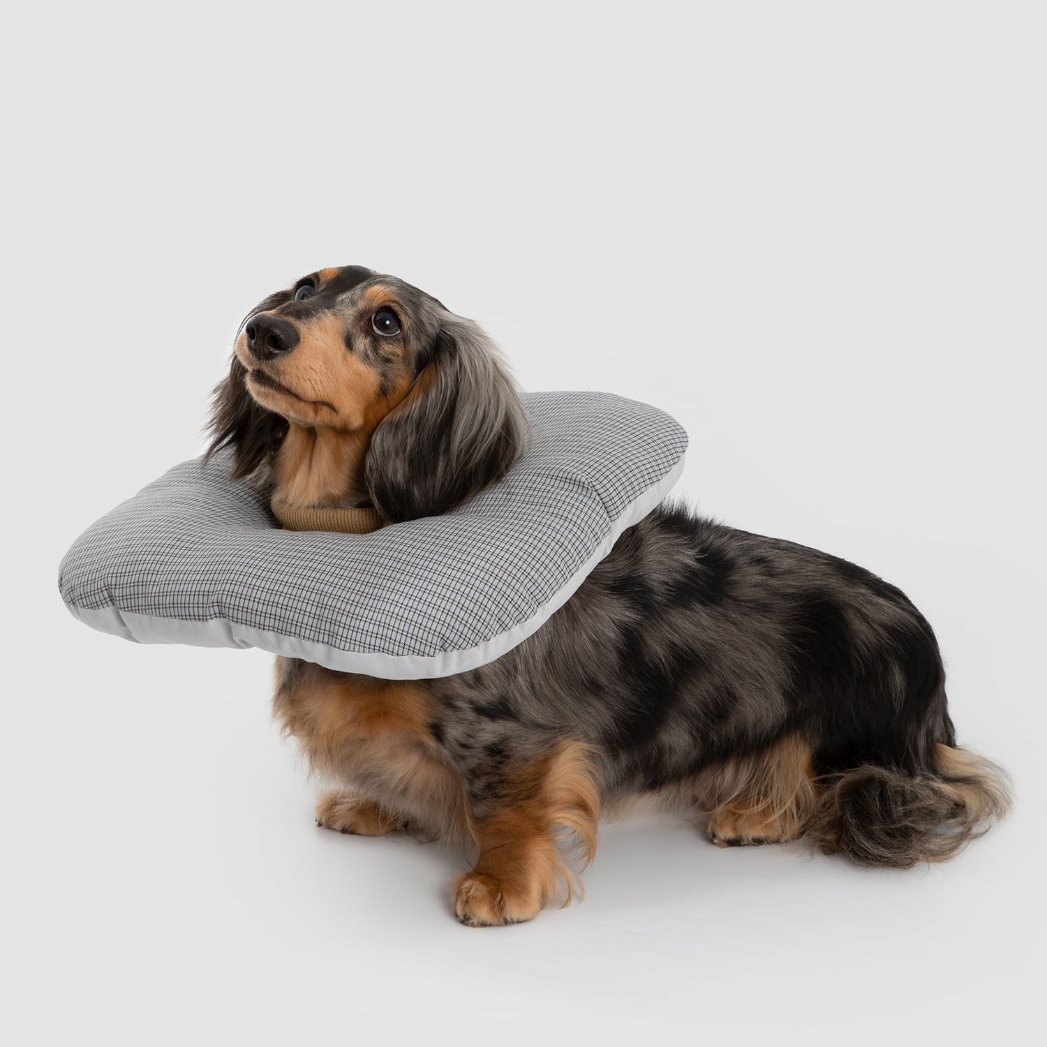ふわもこペット用エリザベスカラー|犬猫兼用 軽量ソフト術後ケアカラー