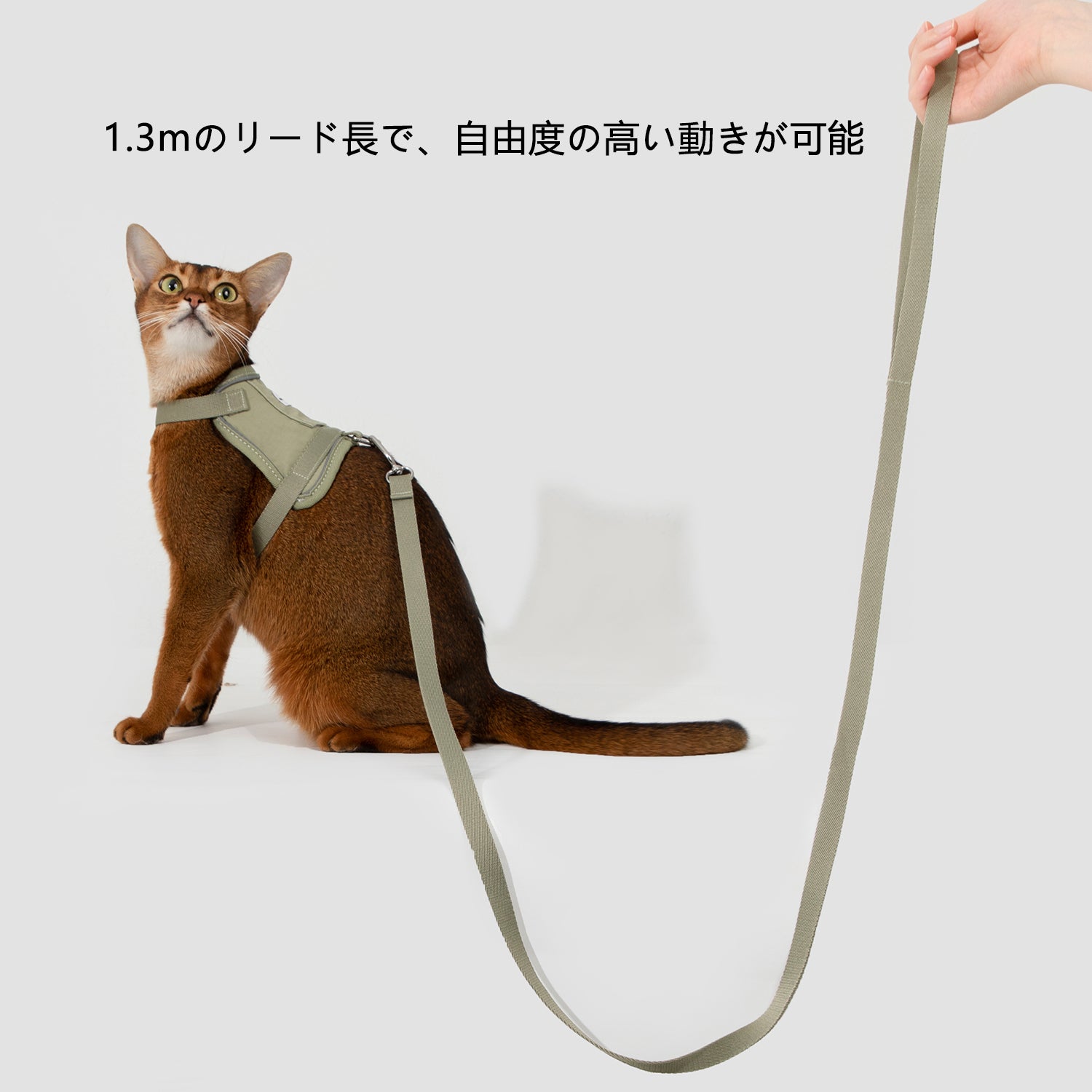 軽量ベスト型猫ハーネス|反射ストラップ付き・通気メッシュ
