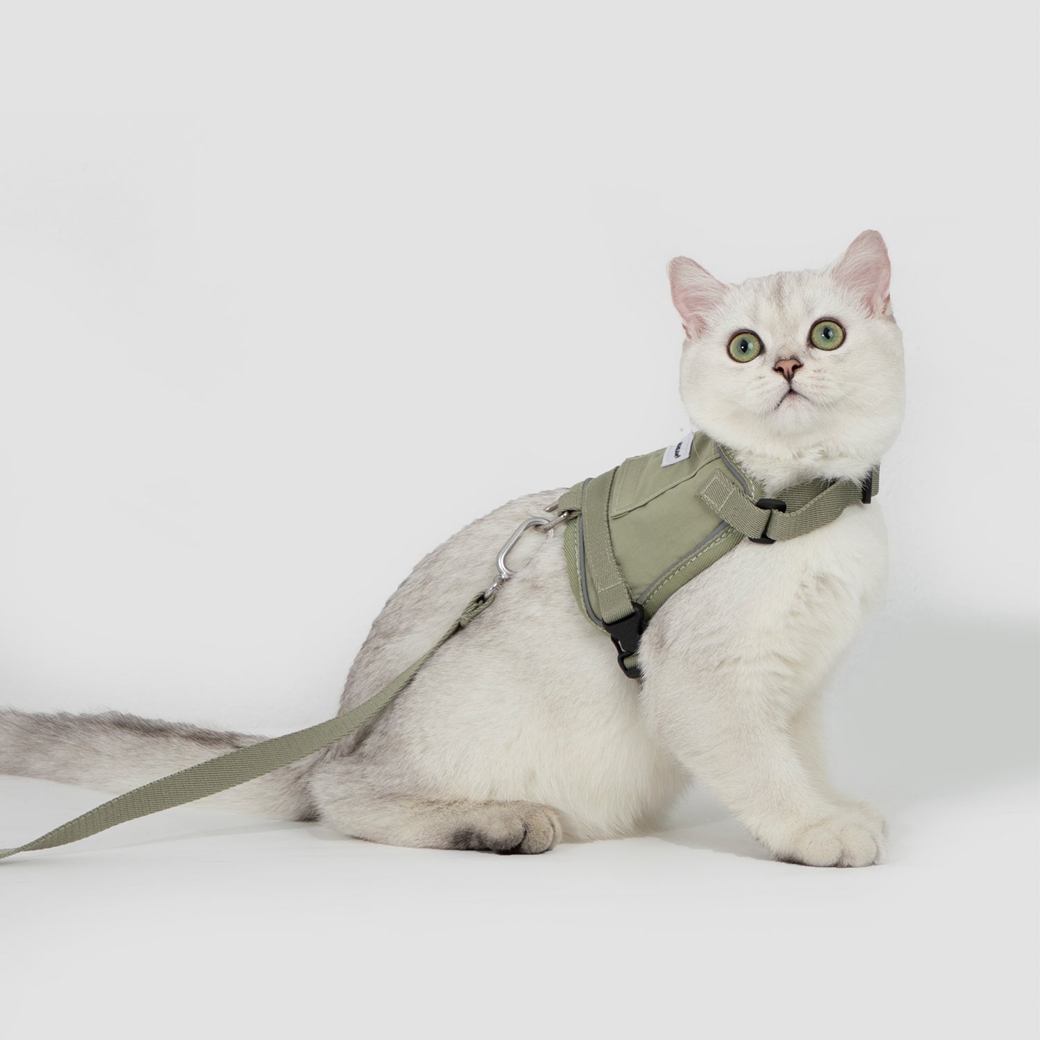 軽量ベスト型猫ハーネス|反射ストラップ付き・通気メッシュ