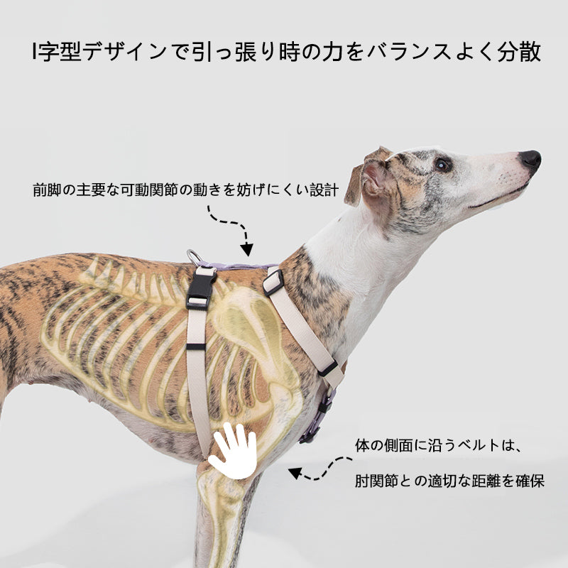 脱走防止I字型犬用ハーネス&リードセット|軽量設計・小型犬中型犬対応