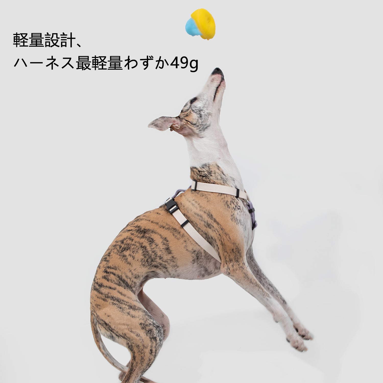 脱走防止I字型犬用ハーネス&リードセット|軽量設計・小型犬中型犬対応