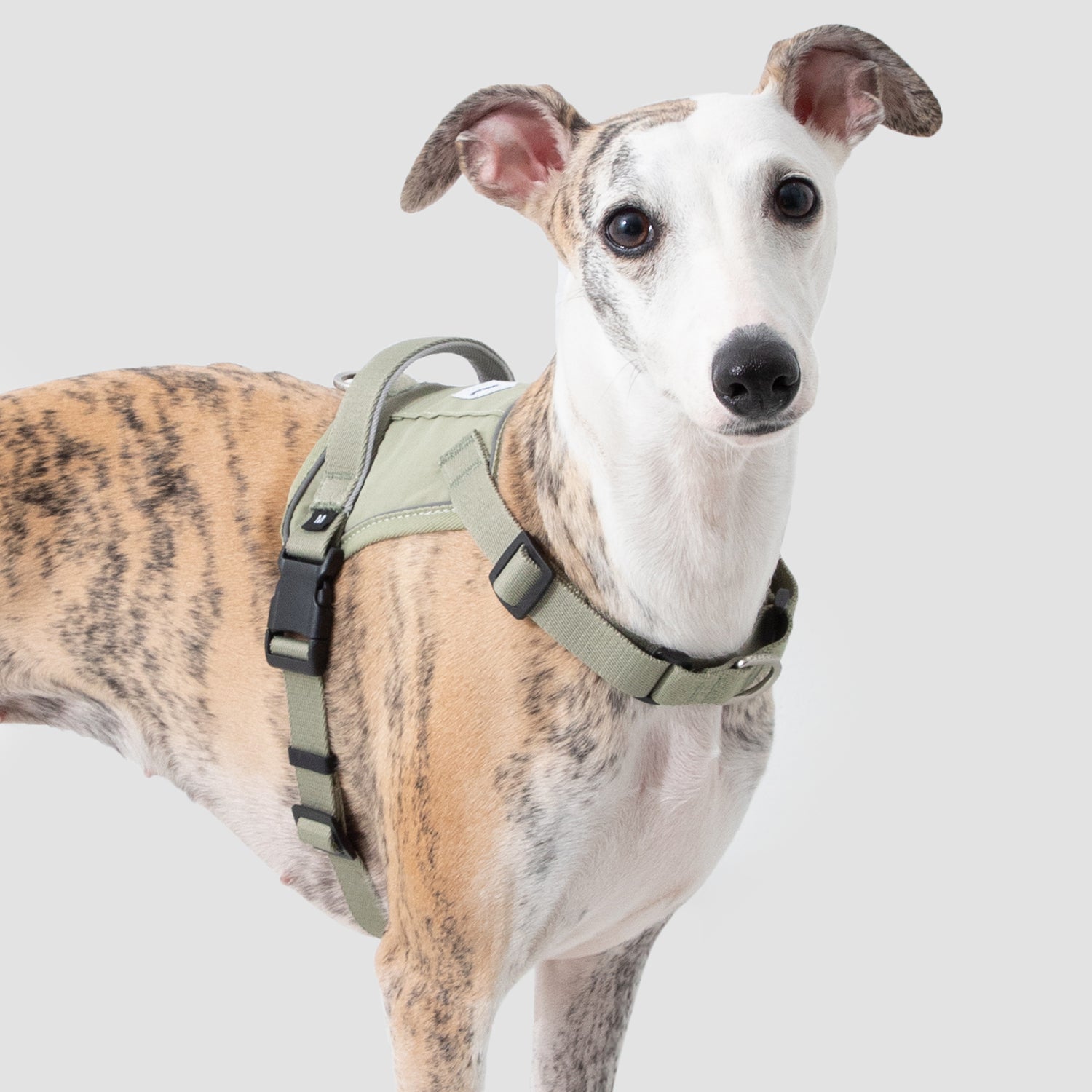 速着ベスト型犬用ハーネス|脱走防止・衝撃軽減