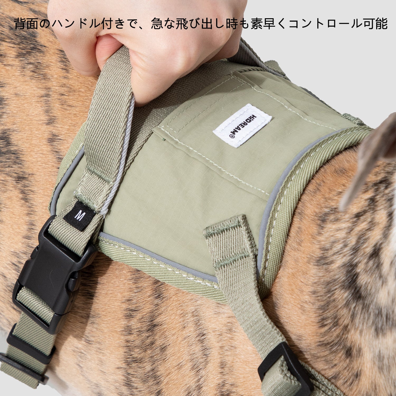 速着ベスト型犬用ハーネス|脱走防止・衝撃軽減