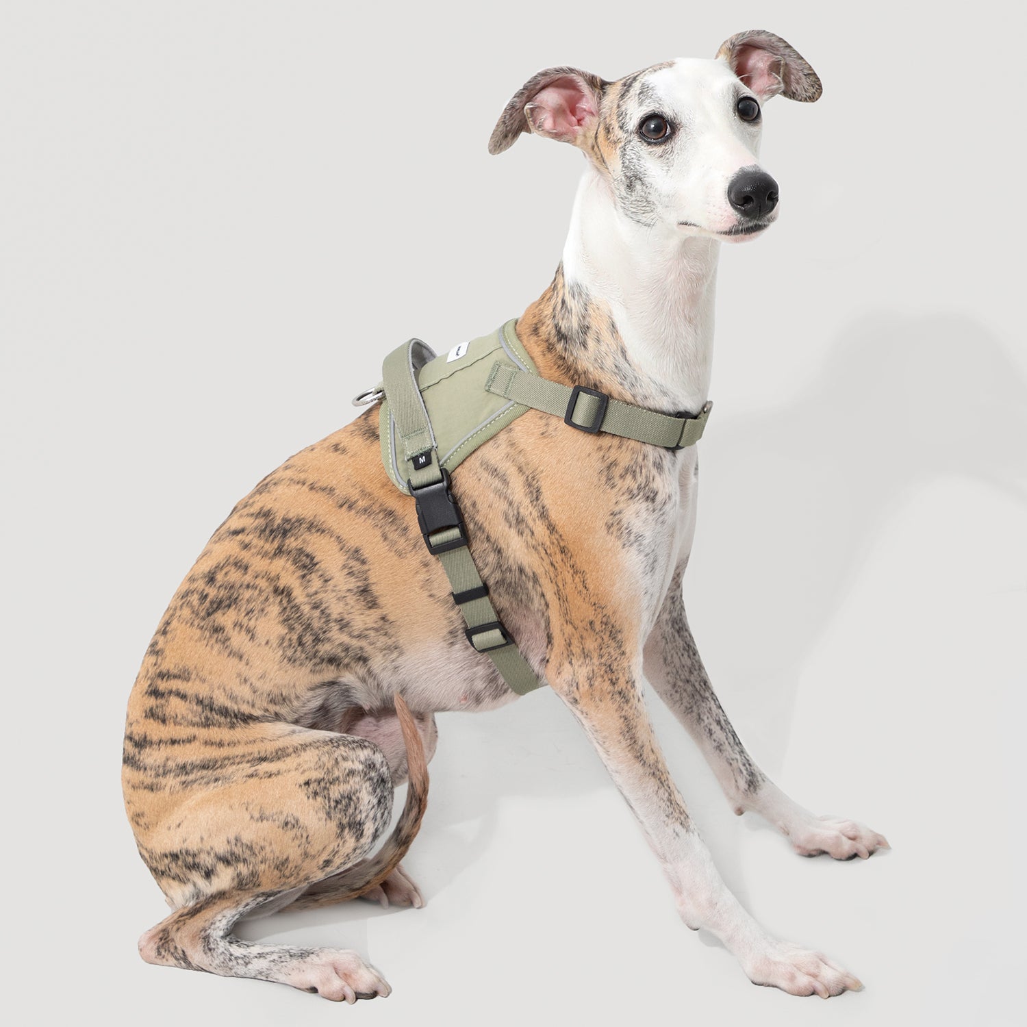 速着ベスト型犬用ハーネス|脱走防止・衝撃軽減