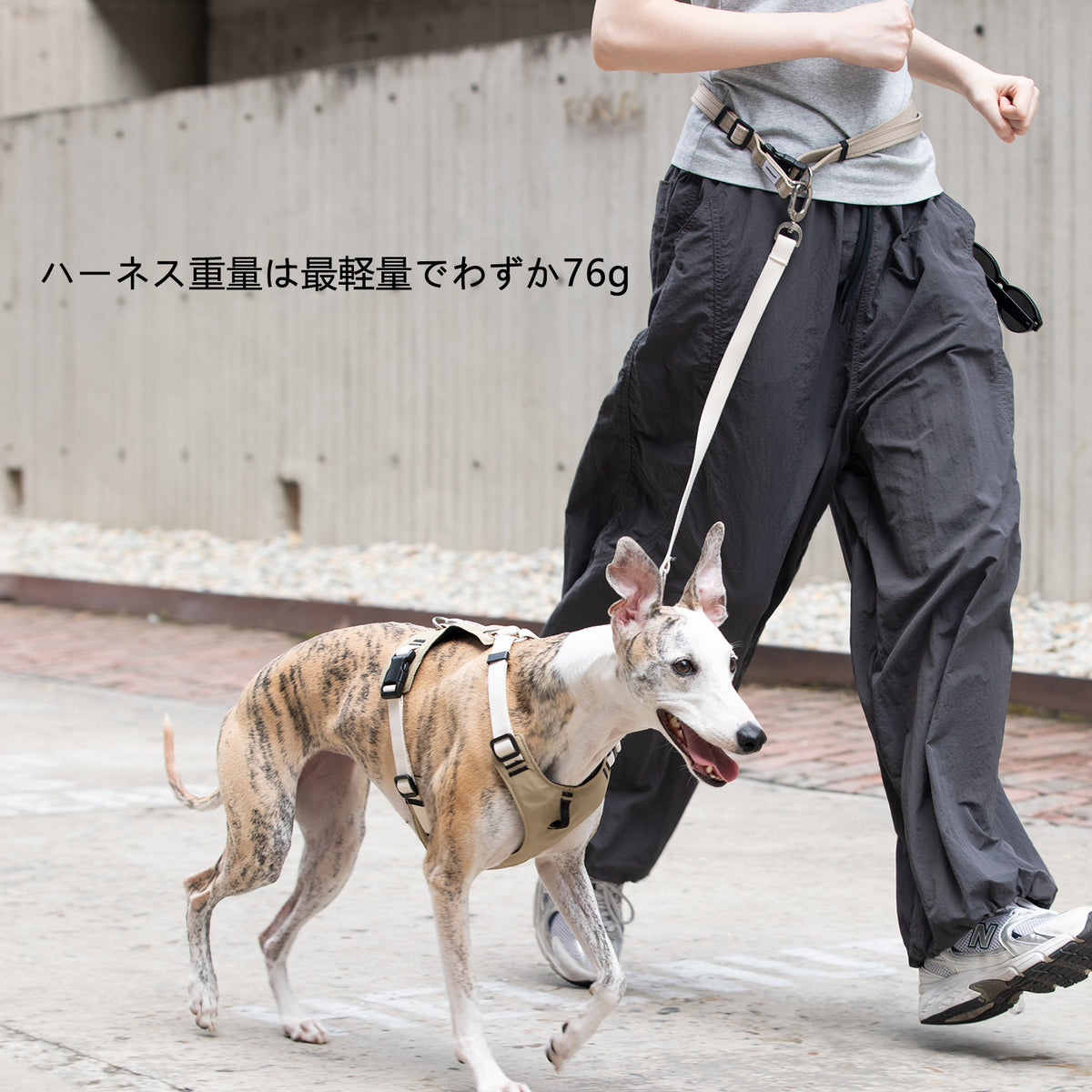 軽量ベスト型犬用ハーネス&リードセット|脱走防止・前胸コントロール
