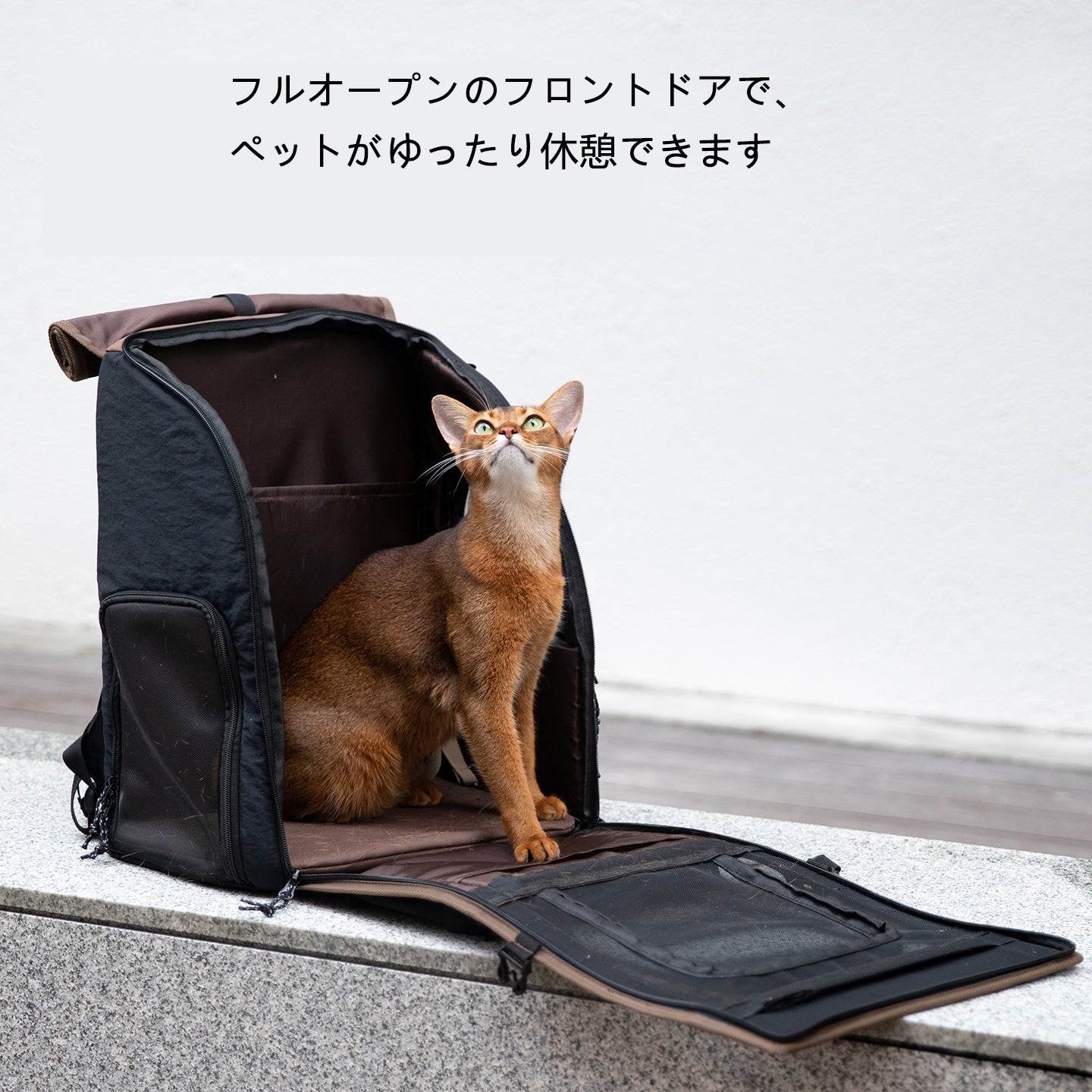 猫用リュックキャリー|広々立体設計・安定サポート
