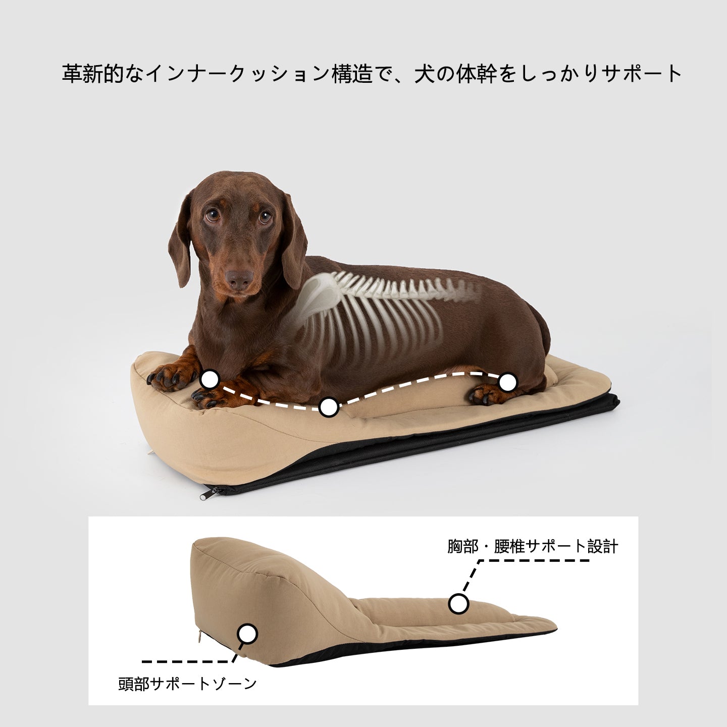 犬用ポータブルキャリーバッグ|体幹サポート設計・3WAY仕様