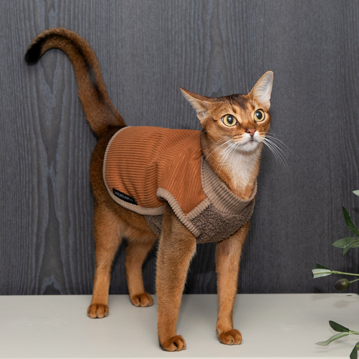 猫・小型犬用 裏ボアあったかベスト
