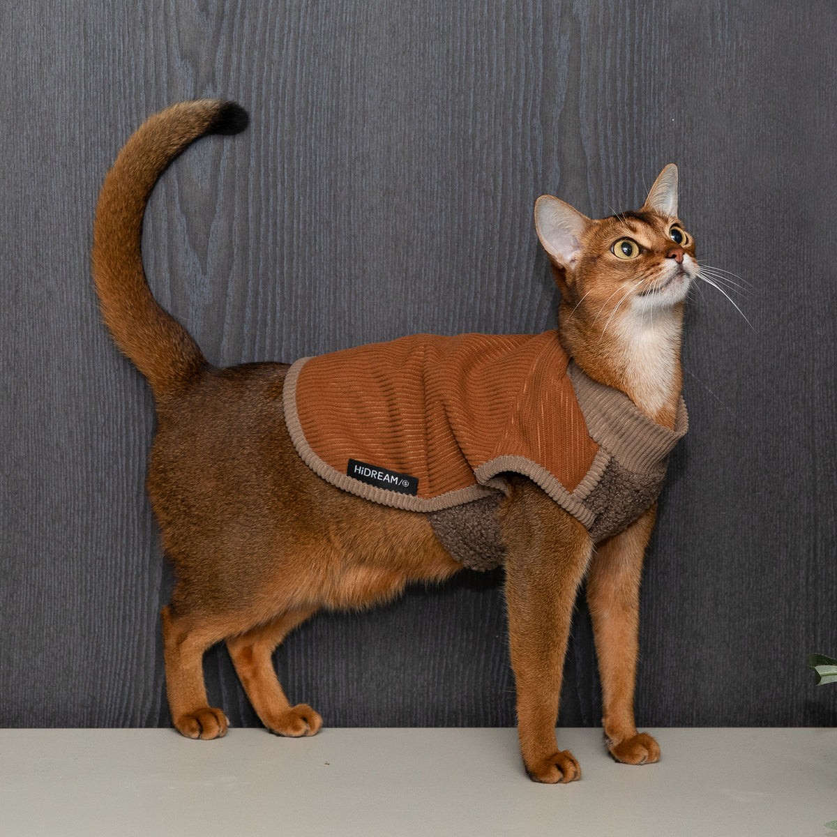 猫・小型犬用 裏ボアあったかベスト