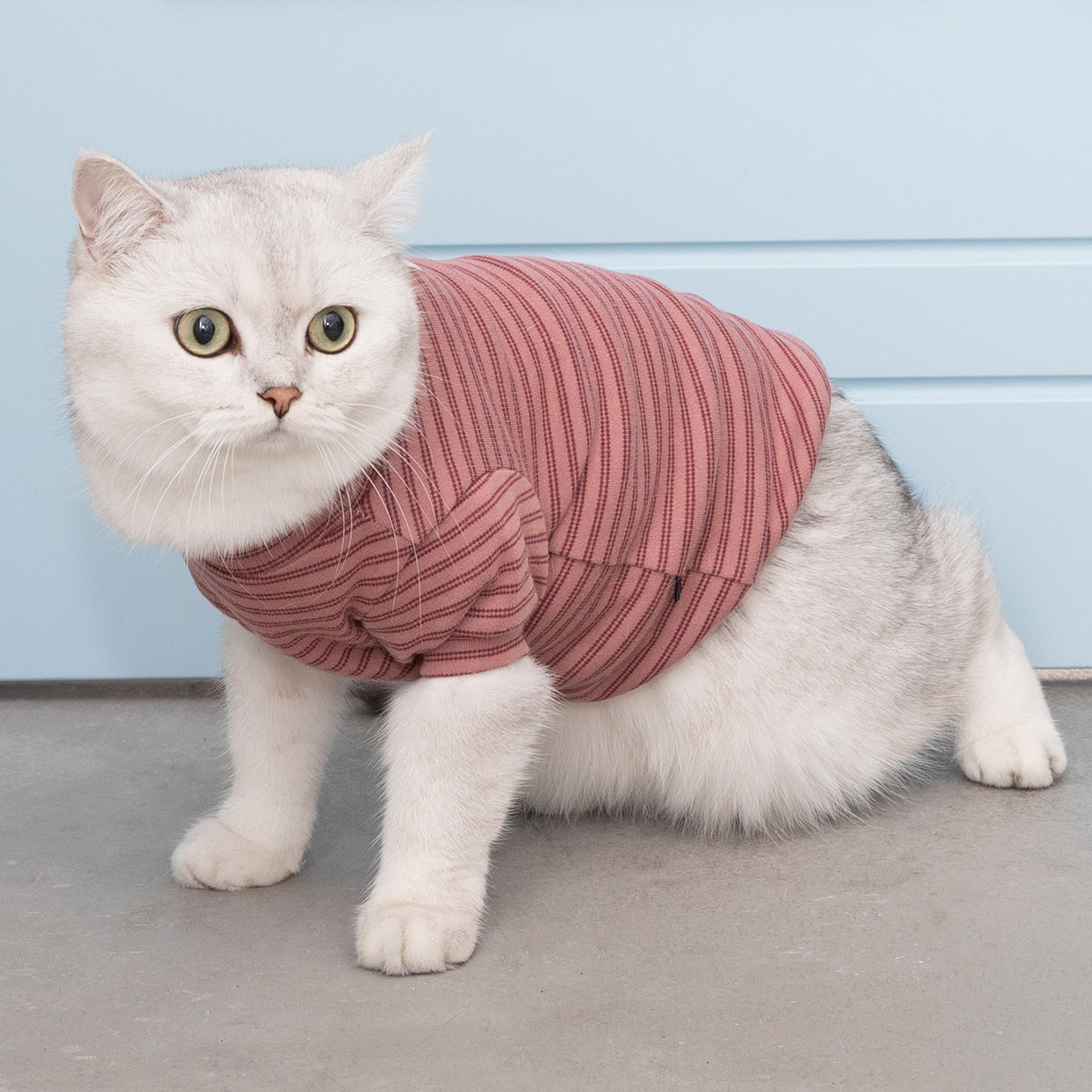 ストライプ柄 ペットウェア|犬・猫用 高伸縮コットンTシャツ