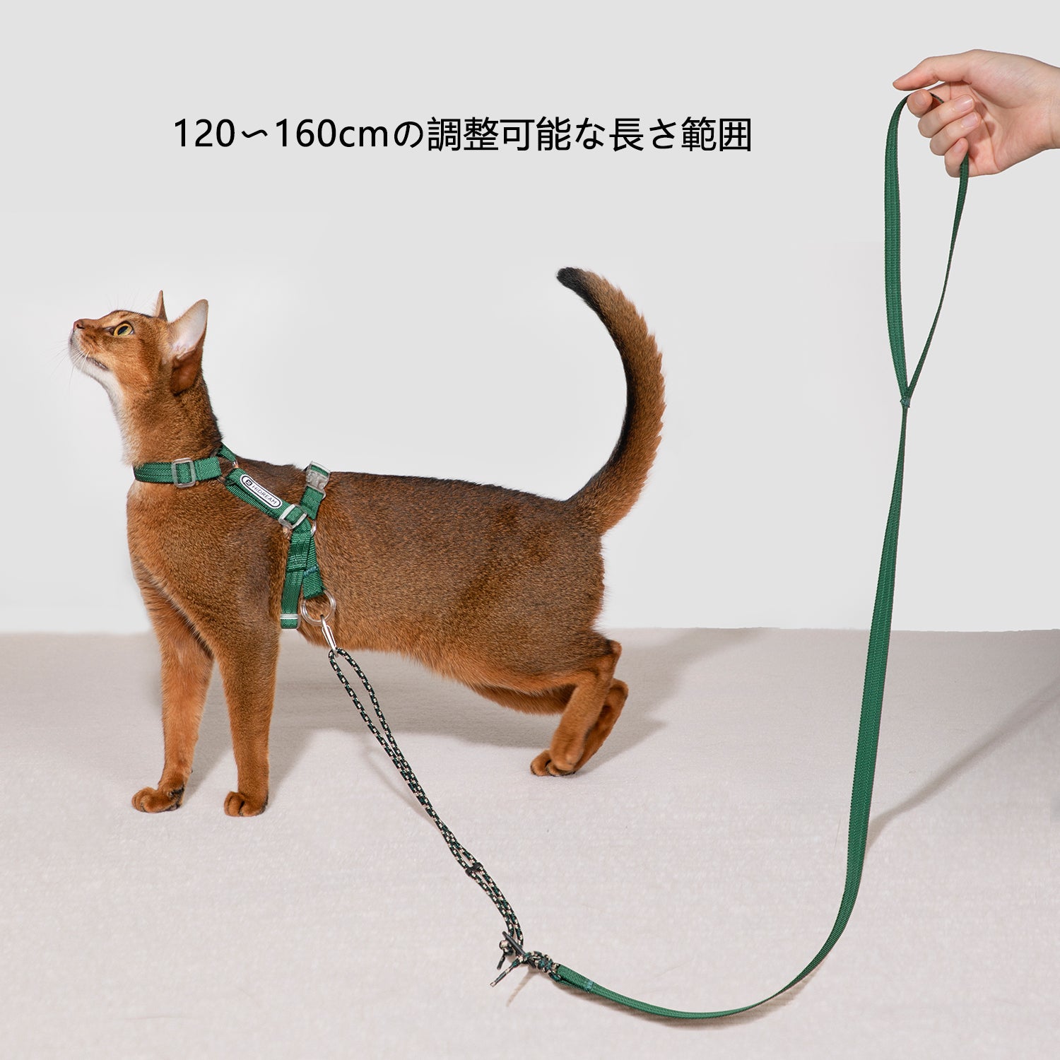軽量調節式 猫用ハーネス＆リードセット｜反射ロゴ付き・通気I字構造