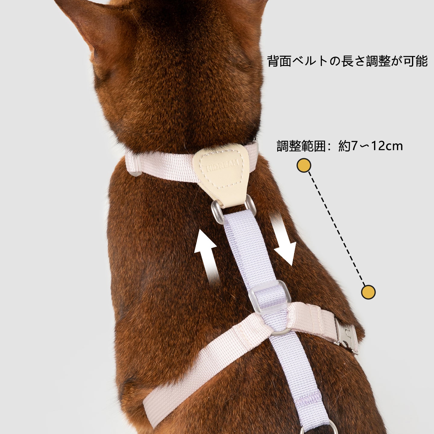 レザーコンビ H型猫用ハーネス＆リードセット｜超軽量36g・サイズ調整可能