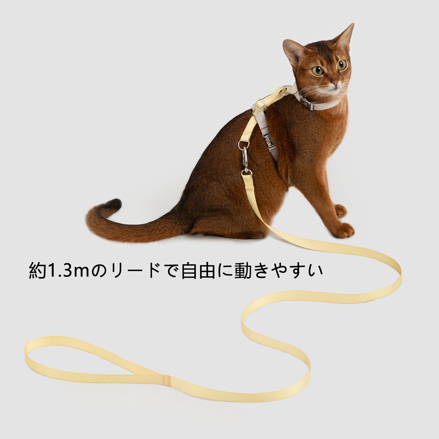 レザーコンビ H型猫用ハーネス＆リードセット｜超軽量36g・サイズ調整可能