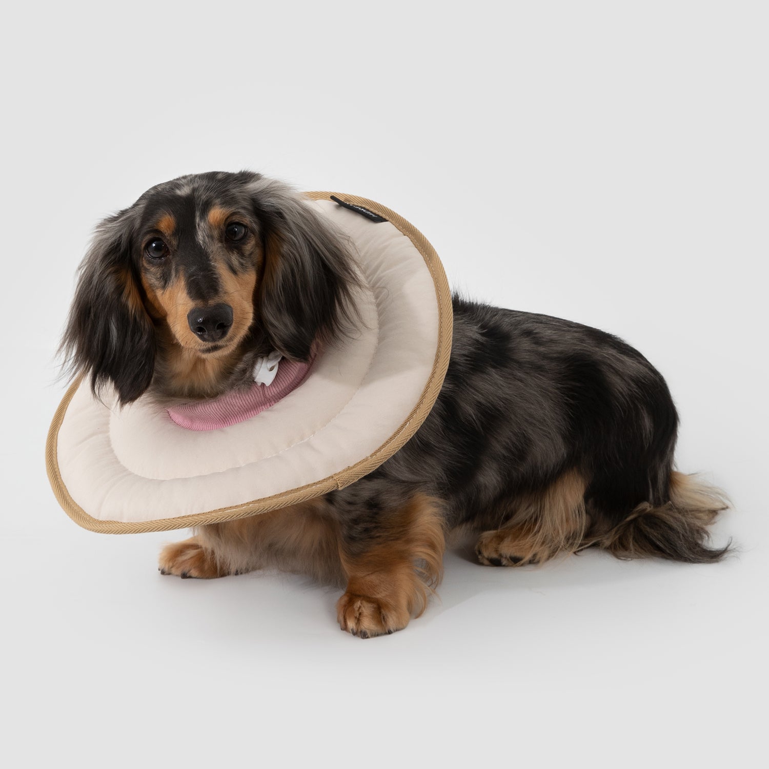 ドーナツ型ペット用エリザベスカラー｜犬猫兼用 軽量ソフトネックカラー