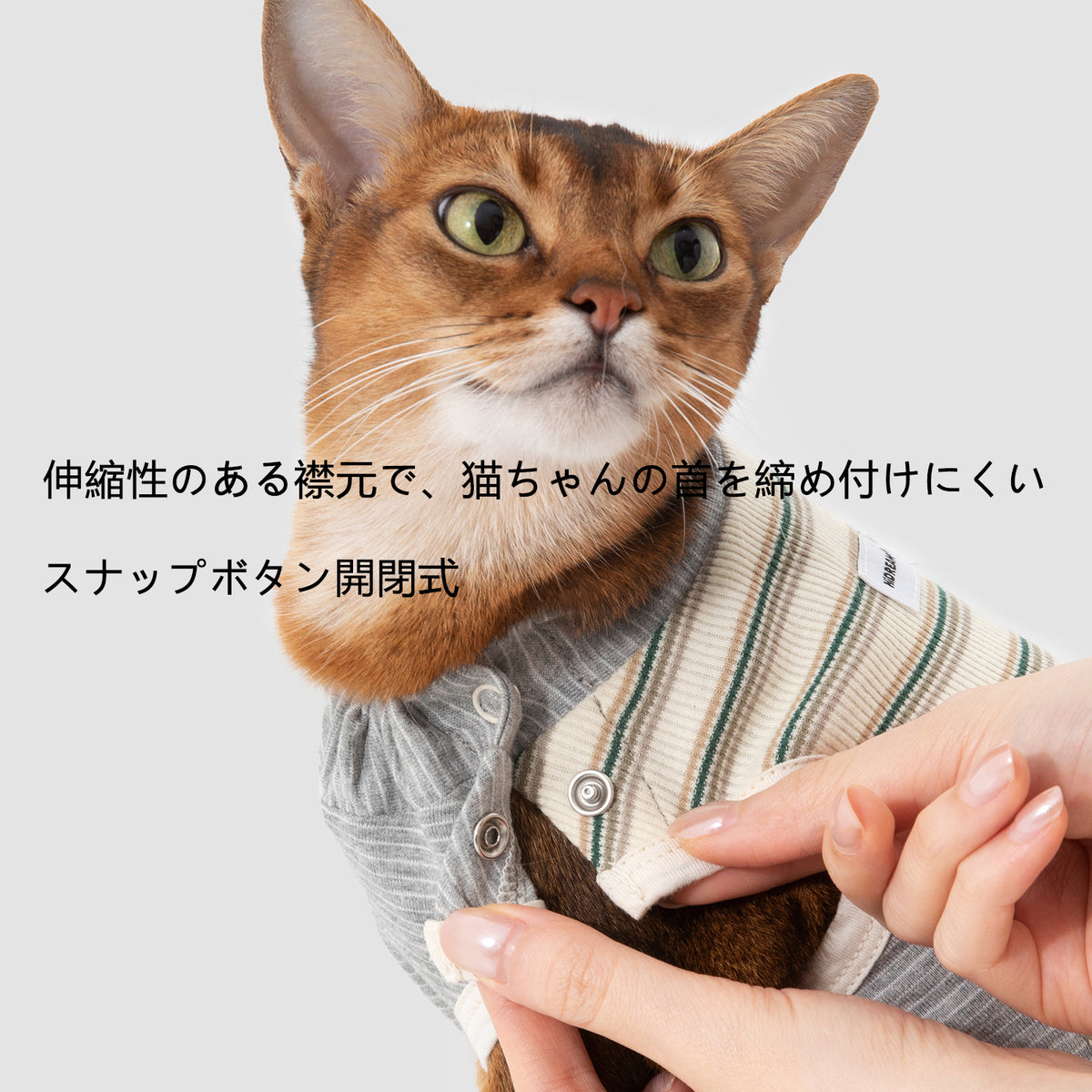 猫用術後ウェア｜お腹全体カバー・舐め防止・着丈調節可能