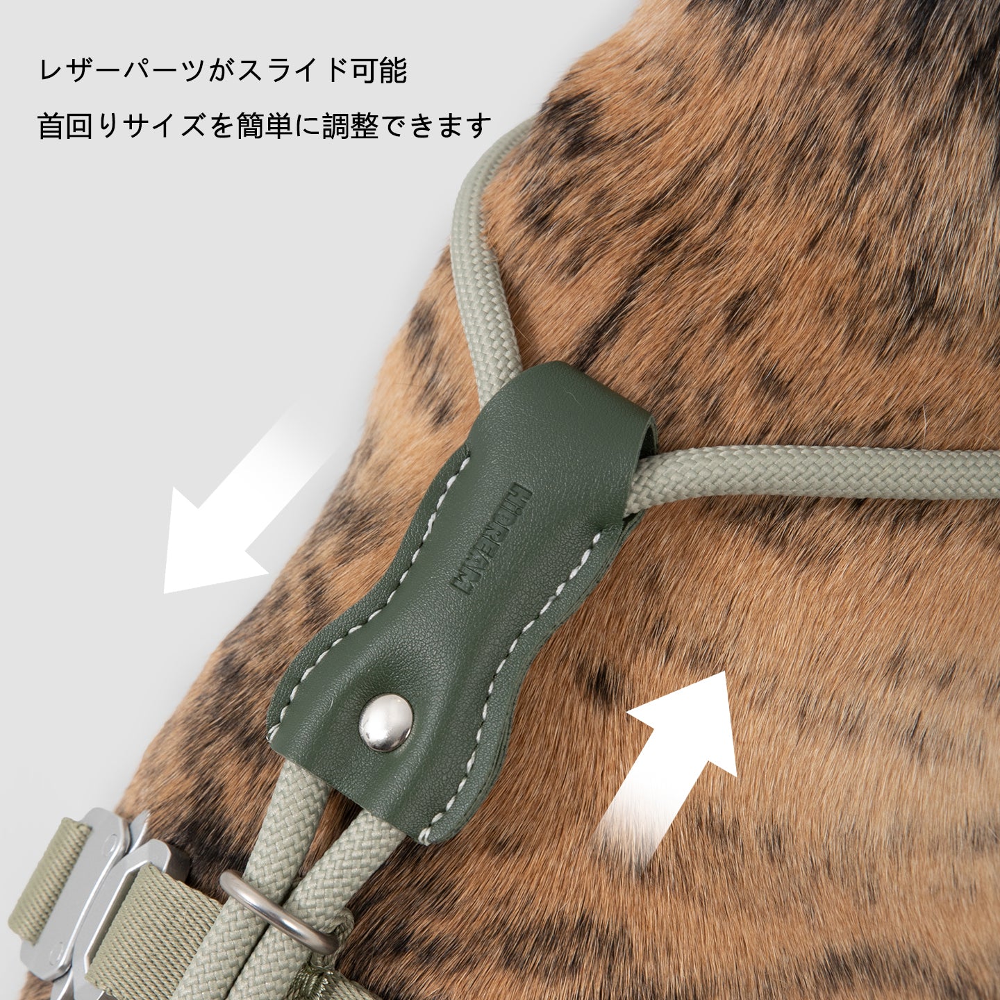 レザー調ロープハーネス＆リードセット｜脱走防止・小型犬中型犬対応