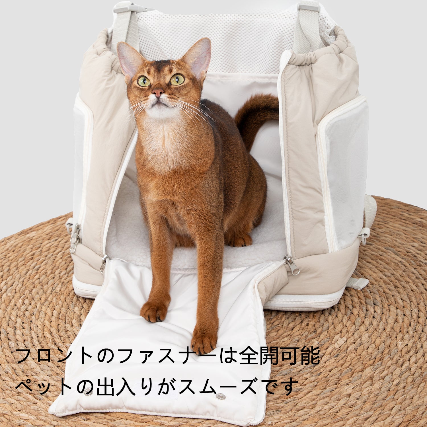 軽量フロントペットキャリーバッグ｜猫・小型犬対応 コンパクト大容量リュック