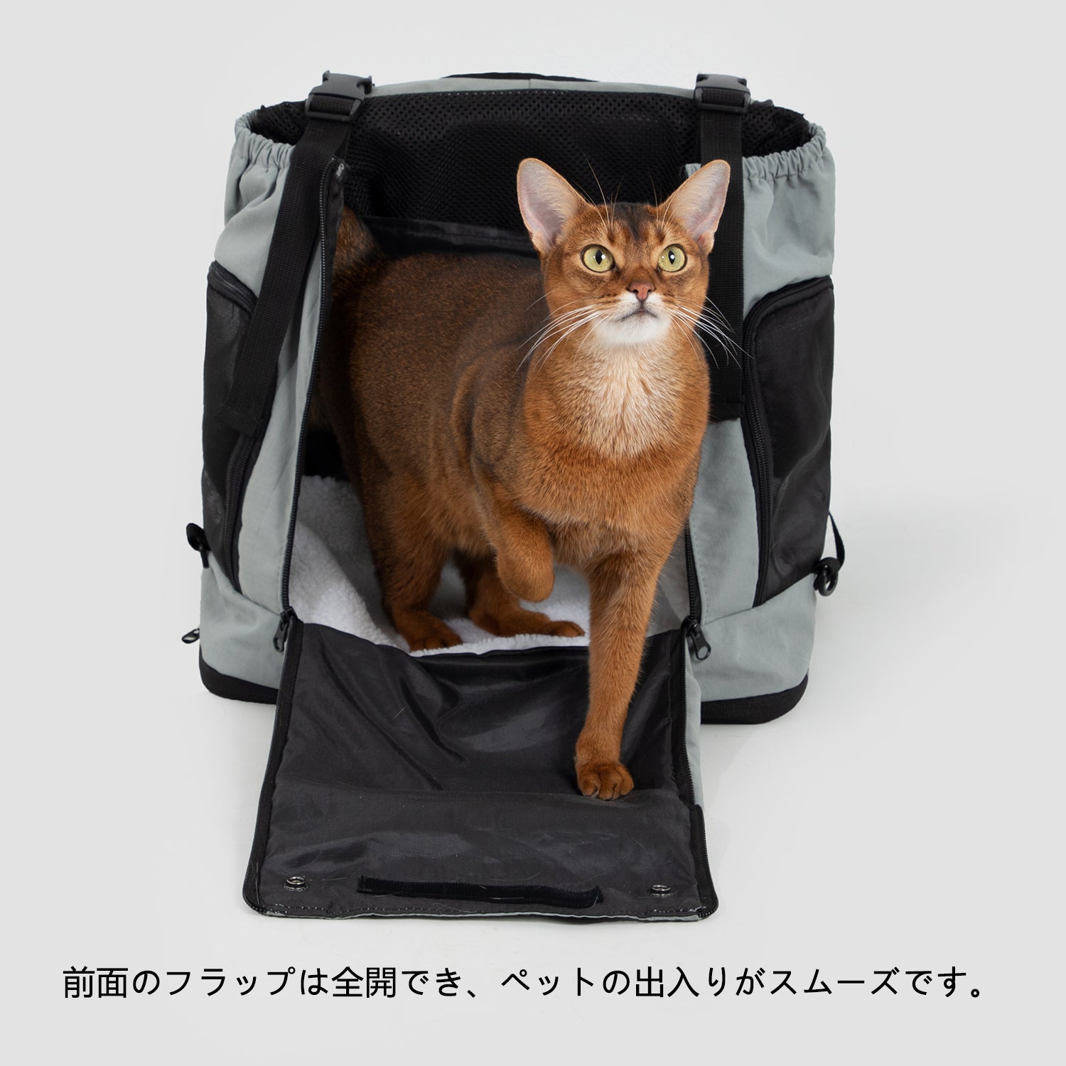 前後2WAY ペットキャリーバックパック｜猫・小型犬対応 大容量