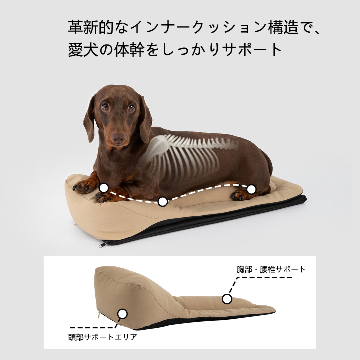 ペット用バゲット型リュック｜猫・小型犬兼用 キャリーリュック