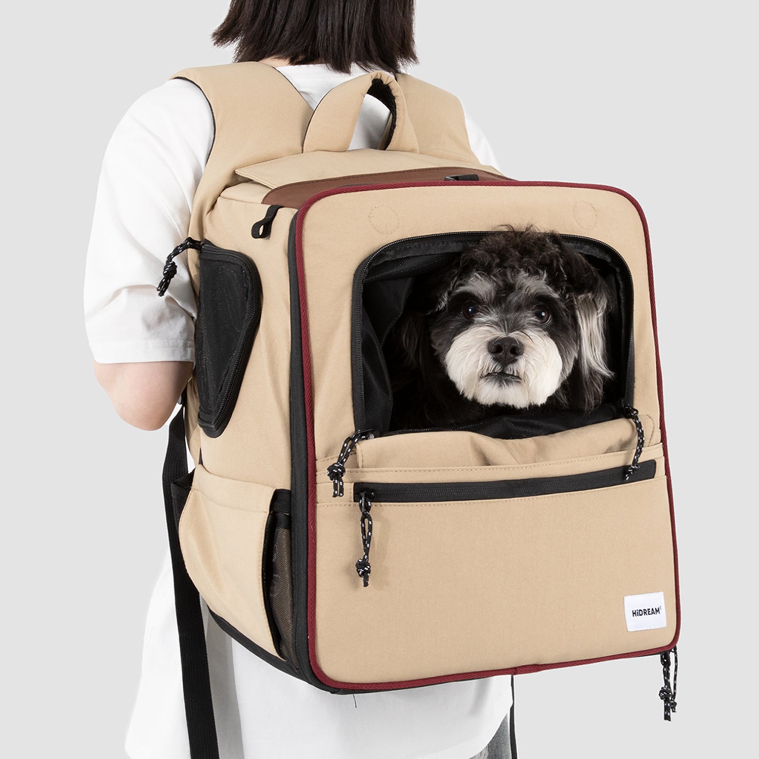 犬猫用 拡張型ペットリュック｜大容量・8kg対応・メッシュ窓・キャリー