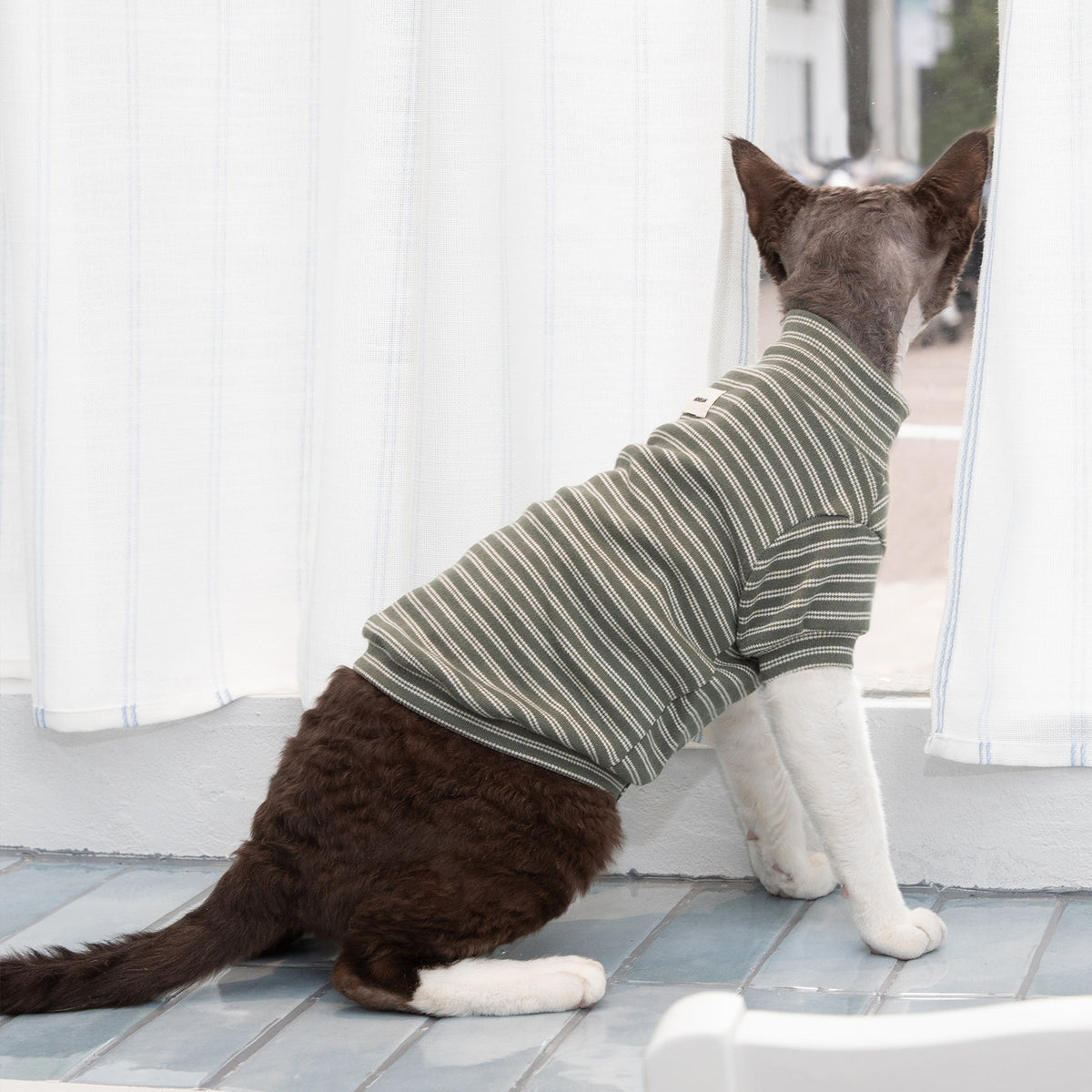 ストライプ柄 ペットウェア｜犬・猫用 高伸縮コットンTシャツ