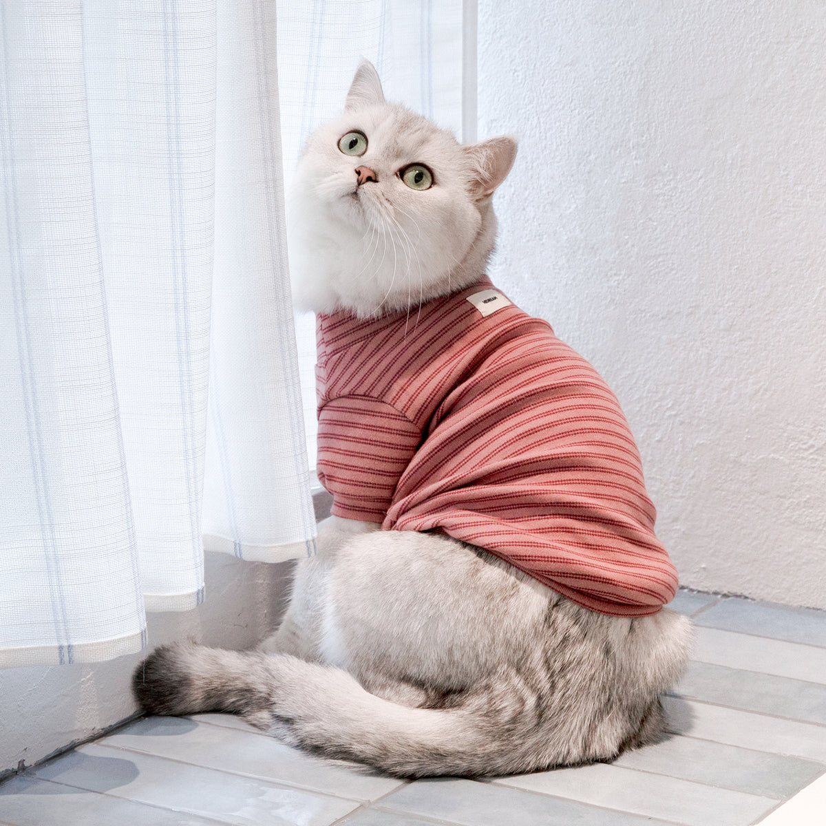 ストライプ柄 ペットウェア｜犬・猫用 高伸縮コットンTシャツ