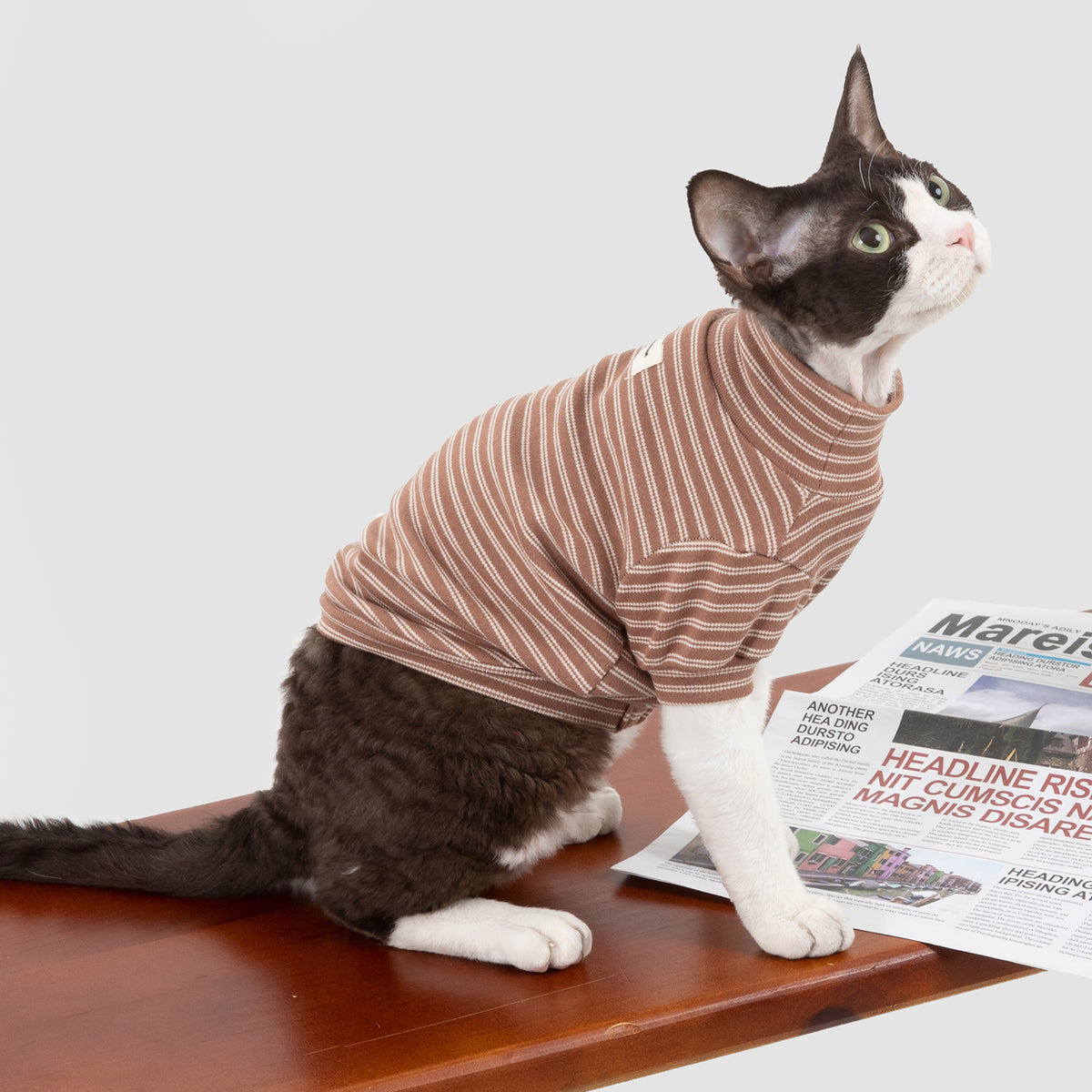 ストライプ柄 ペットウェア｜犬・猫用 高伸縮コットンTシャツ