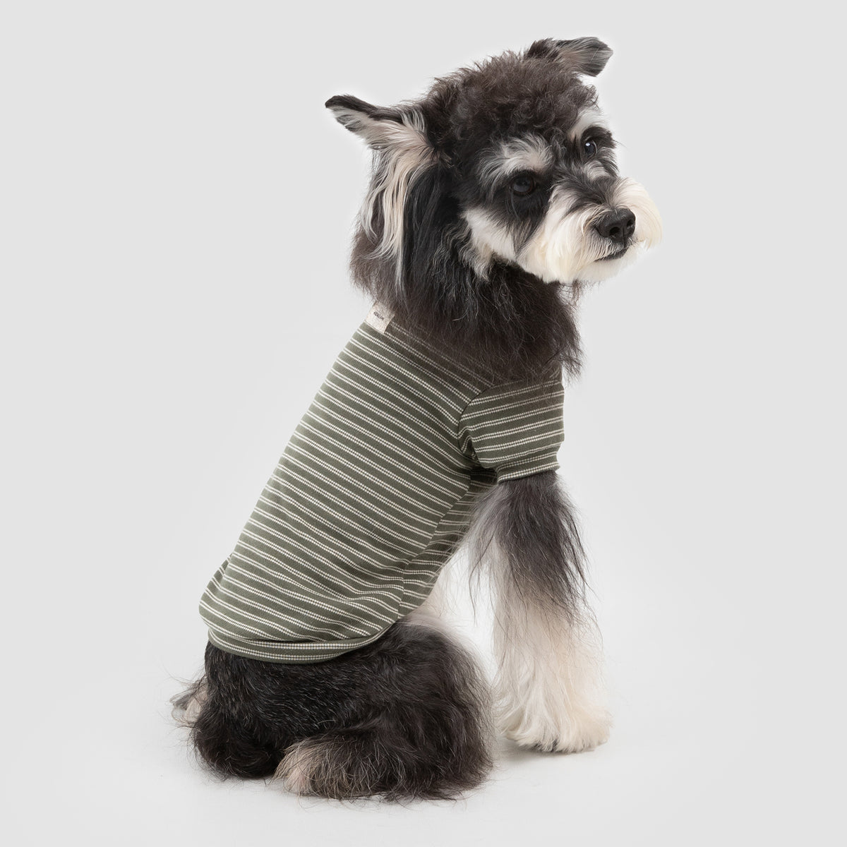 ストライプ柄 ペットウェア｜犬・猫用 高伸縮コットンTシャツ