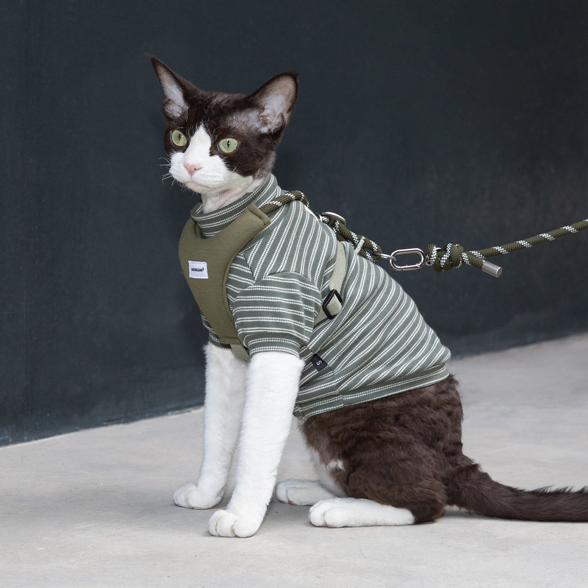 ストライプ柄 ペットウェア｜犬・猫用 高伸縮コットンTシャツ