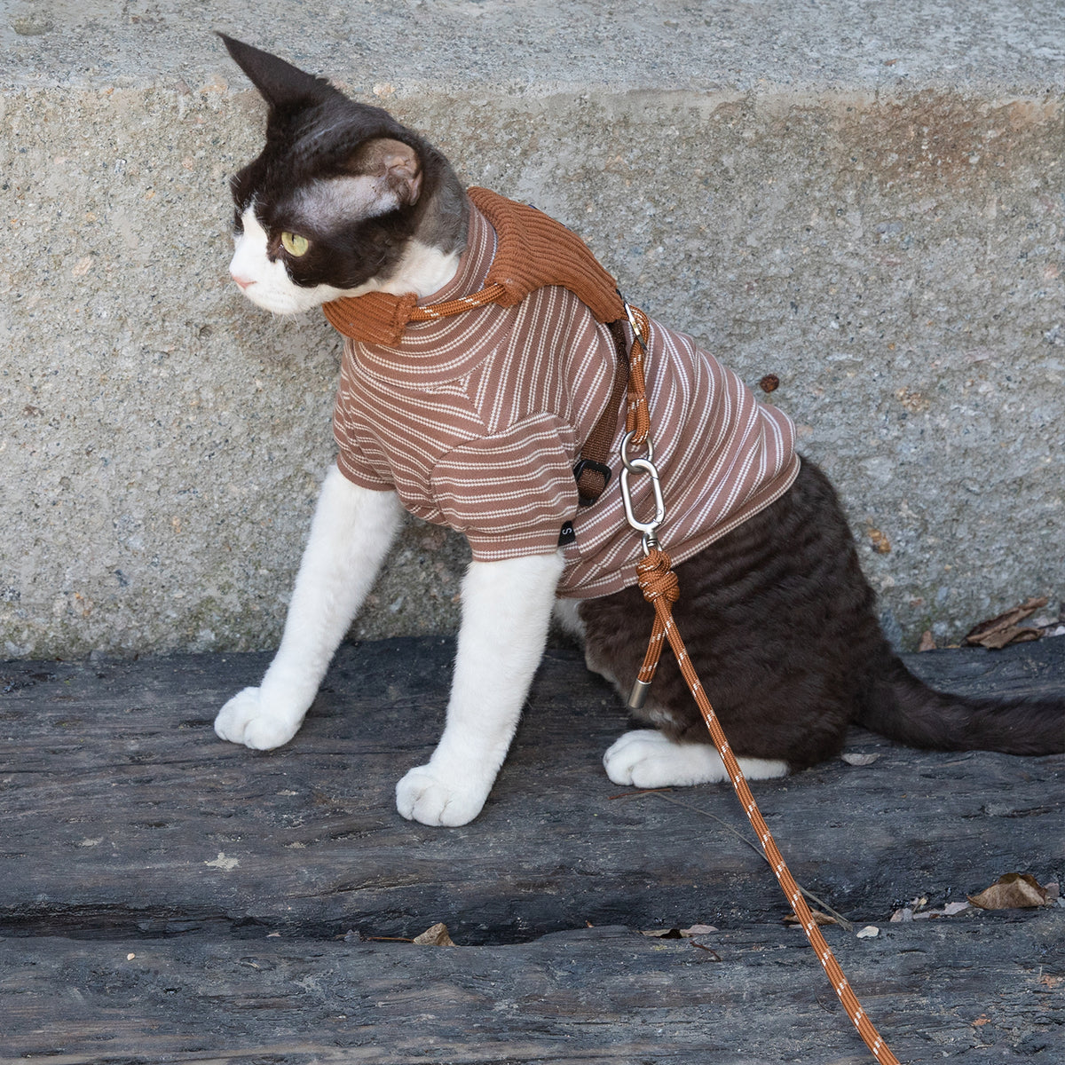 ストライプ柄 ペットウェア｜犬・猫用 高伸縮コットンTシャツ