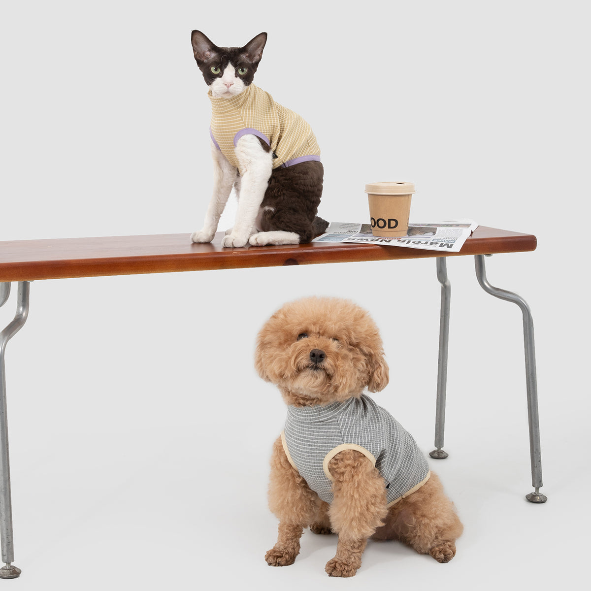 犬猫兼用 拼色リブウェア｜通気性・高伸縮・やわらか素材